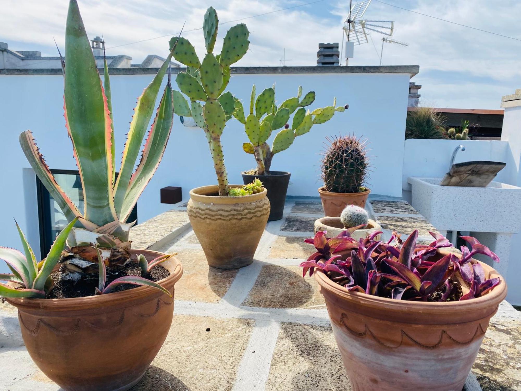 Dimora Del Sole Luxury And Charm Appartement
